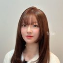 프리제헤어