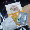 청려원동물병원 이미지