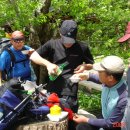 셀파산장 이미지