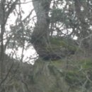 안동양반 이미지