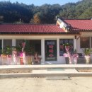 인제오락실 이미지