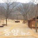 대흥동 유아숲체험원 이미지