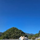 라지독스 이미지