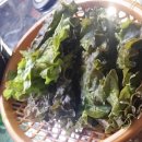 연탄불막창 이미지