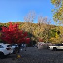 율곡캠핑장 | 가을 감성 가득한 율곡캠핑장 후기｜서울근교캠핑장 찾는다면 강력 추천!