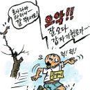 호사다마