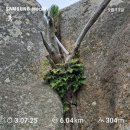 태안초등학교 | ♣️ 백화산(白華山) 나홀로 산행(山行) ... !!