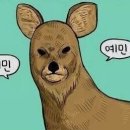 홀리짐 이미지