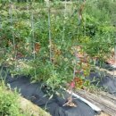 화양농장 이미지