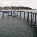 삼사 바다산책로 이미지