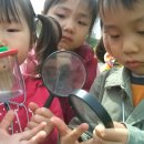 연흥유치원 이미지