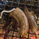 동천산꼼장어 이미지