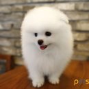 오늘너이쁘다 네이버블로그