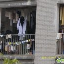 베란다괴물