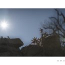 별바라기 Daum카페