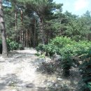 황토펜션 이미지