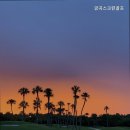 금곡 스크린 골프 이미지