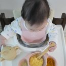 언제부터 사용해야할까? 브랜드별 4종 비교 실제 사용 후기 추천 (써모스,그로미미,리텐클로르, 더블하트)