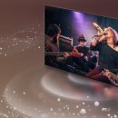 알파8 엔진과 120Hz의 만남, LG QNED 86QNED85TKA 게이밍 성능까지 완벽 분석