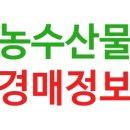 경북통상 농산물 산지유통센터 | 가락 농산물 도매시장 대봉감 실시간 가격(농수산물 온라인 도매시장에서 가장 거래 많은 품목 총정리)