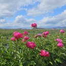 강나루생태공원 이미지