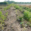 초정농장 이미지