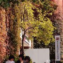 마로니에시근린공원 이미지