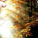 선산고등학교 이미지