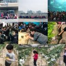 일산천하태권도장 이미지