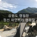 더 파인트리 이미지