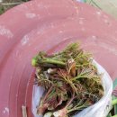 오리만찬 이미지