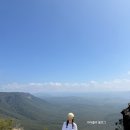 월드 | 시드니 블루마운틴 투어 페더데일 동물원 시닉월드 후기 호주 여행 코스 추천