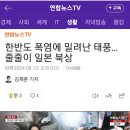 한반도 폭염에 밀려난 태풍…줄줄이 일본 북상 이미지