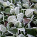 큰골낚시터 이미지