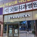 그린머그 | 부산 사하구 스타벅스 하단역2번출구점 시그니처 그린 사이렌 머그 구매후기