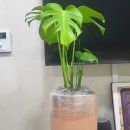 농원가든 이미지