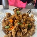 목화반점 이미지