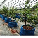 조은농장 이미지