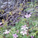 안성(부산) 이미지