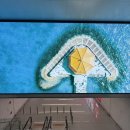 굿딜인터내셔널 앞 횡단보도 | [칭다오] 중국 칭다오 2박3일 여행 1일차