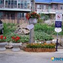 판문동 주민센터 이미지