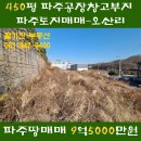 금촌 공인중개사사무소 이미지