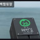 일심종합자원 | 충남 태안군 캠핑장 추천 이태백캠핑장 바다 뷰와 편안한 쉼터가 인상적이에요