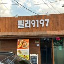 필리9197 이미지