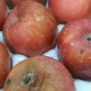 하나몬테소리어린이집 이미지