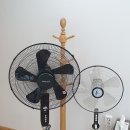 신일한의원 이미지