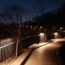 무장애숲 이미지