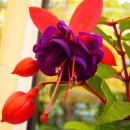 한 사람 이미지