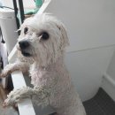 오구오구살롱 이미지