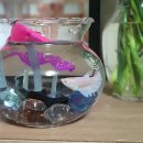 아성부동산공인중개사사무소 이미지